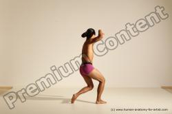 Elmer - Traditional Korean Art